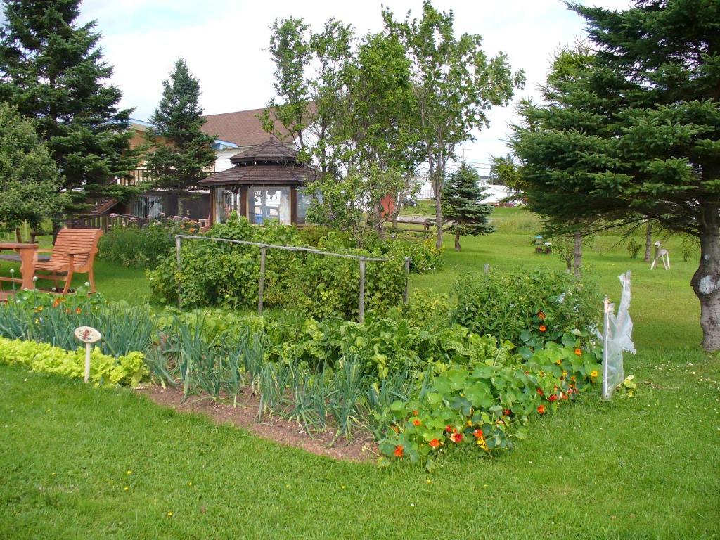 Bed and Breakfast Gite Parfum de Mer Bed&Breakfast Pabos Exterior foto